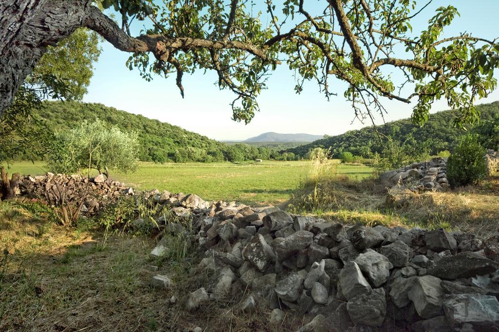 La Vieille Maison - Halte Gourmande Durfort-et-Saint-Martin-de-Sossenac Exteriör bild
